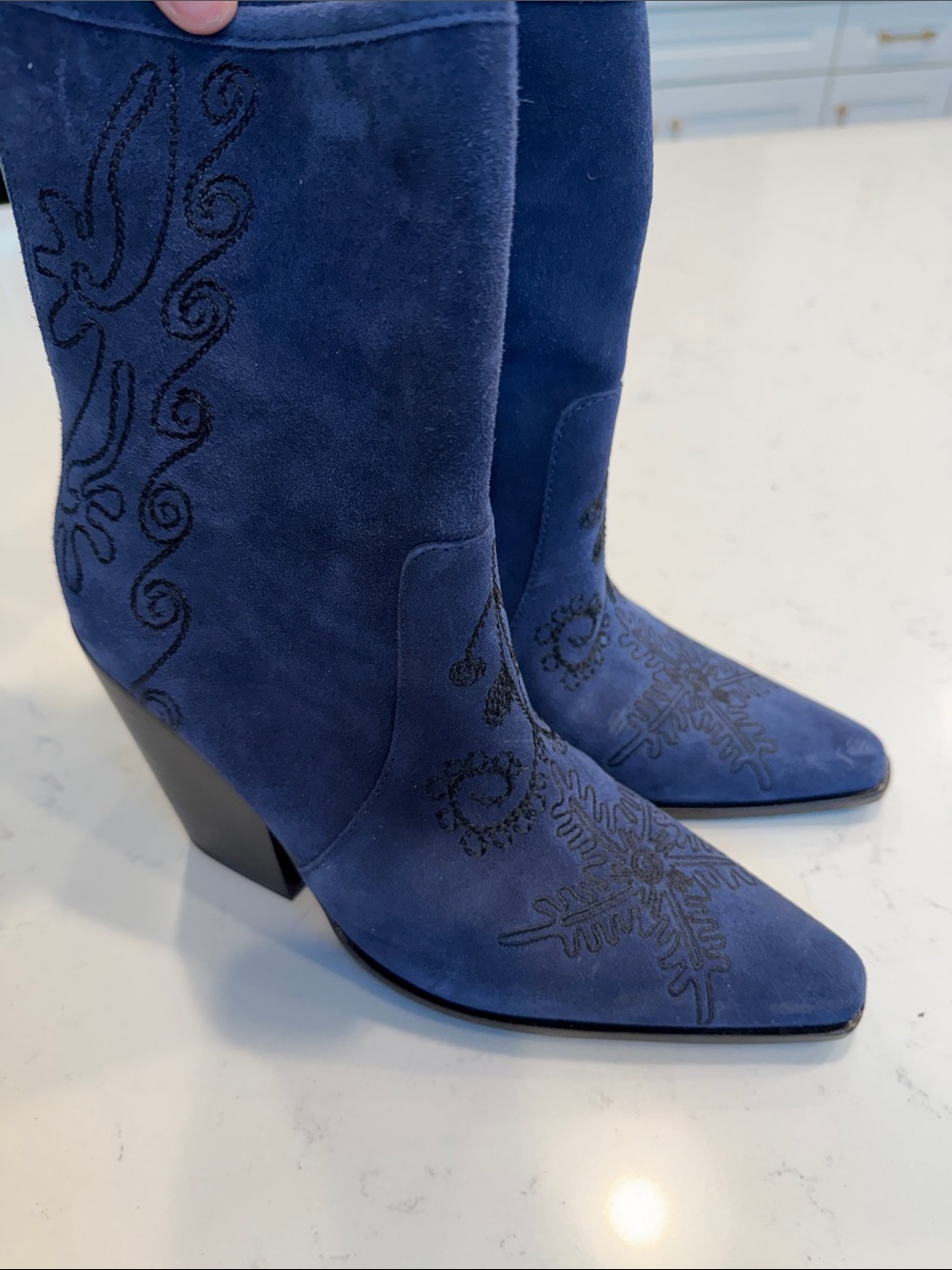 rebels Navy Suede Embroidered Pointed-Toe Heel Boots